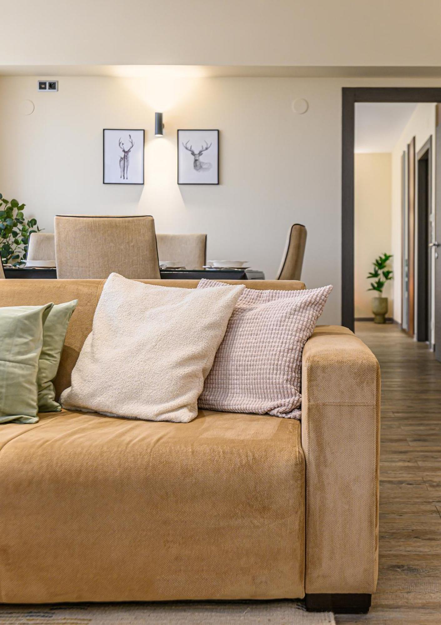 B41 Apartment ポイアナ・ブラショフ エクステリア 写真